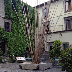 Gli Esterni B&B dei Papi Viterbo